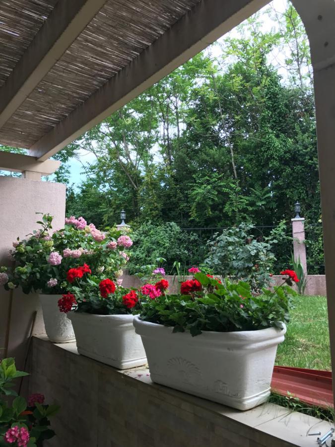Villa Alla Bed And Breakfast Herceg Novi Ngoại thất bức ảnh
