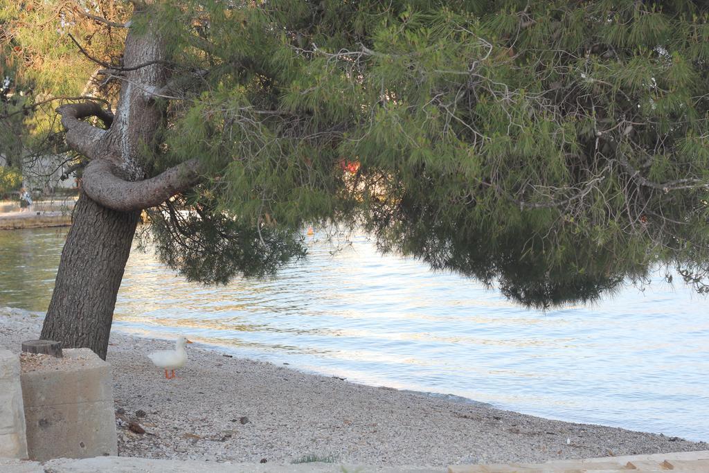 Villa Alla Bed And Breakfast Herceg Novi Ngoại thất bức ảnh