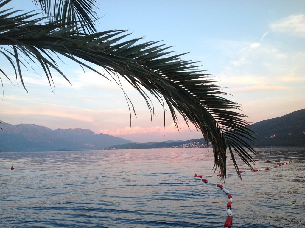 Villa Alla Bed And Breakfast Herceg Novi Ngoại thất bức ảnh