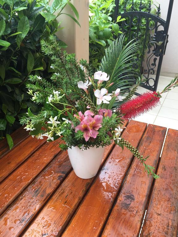 Villa Alla Bed And Breakfast Herceg Novi Ngoại thất bức ảnh